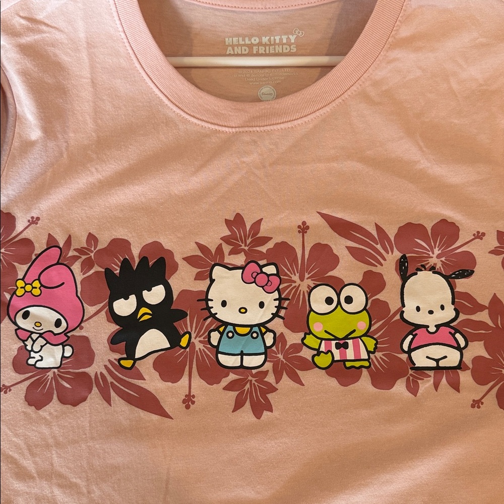 Hello Kitty & Friends Sanrio Character XL Short Sleeve pink crop Tee shirt NWOT